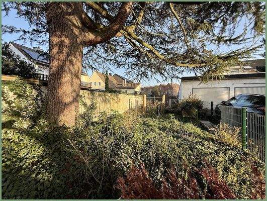 Grünfläche hinter dem Haus