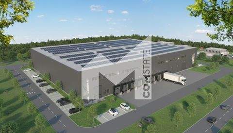 Castrop Rauxel Halle, Castrop Rauxel Hallenfläche