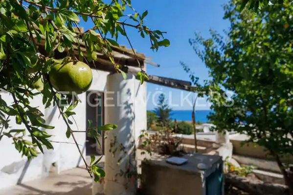 Screenshot 2025-08-08 110235.jpg