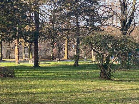 Wiese zum See direkt am Haus.jpeg