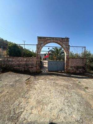 WhatsApp Image 2024-09-06 at 13.20.59 (69).jpeg