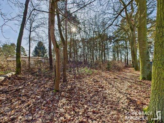 Blick von der hinteren Grundstücksgrenze zur Straß