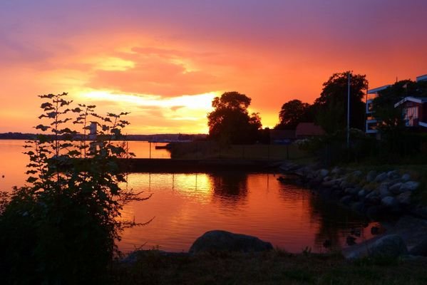 Umgebungsfoto Schlei