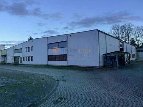 Frankenberg/Sachsen Halle, Frankenberg/Sachsen Hallenfläche