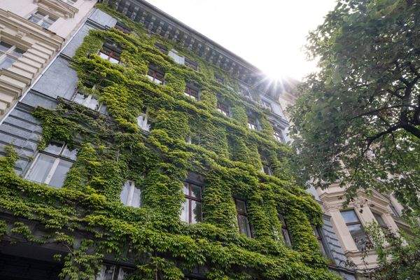 Hausansicht im Sommer