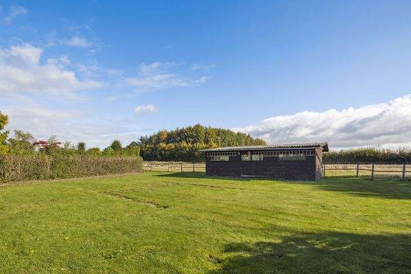 zweites Grundstück - Ihr Gartenparadies – viel Platz zum Entspannen und Genießen