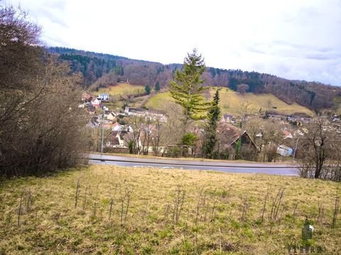Horb am Neckar / Rexingen Grundstücke, Horb am Neckar / Rexingen Grundstück kaufen