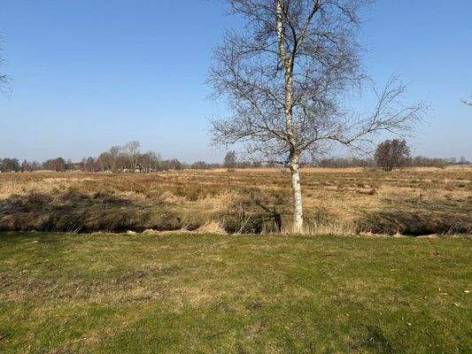 Blick über die Wiesen / Felder