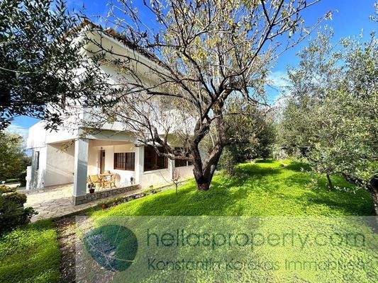 img_86152084-5874-42e8-8e31-f6da92c438f8