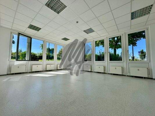 INFOS UNTER: 06171-586000