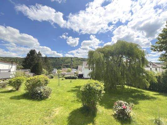 Blick aus dem Garten