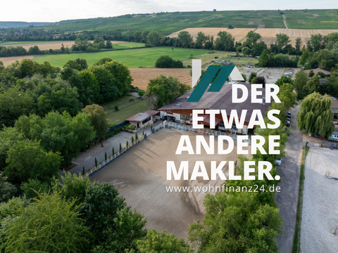 Stadecken-Elsheim Bauernhöfe, Landwirtschaft, Stadecken-Elsheim Forstwirtschaft