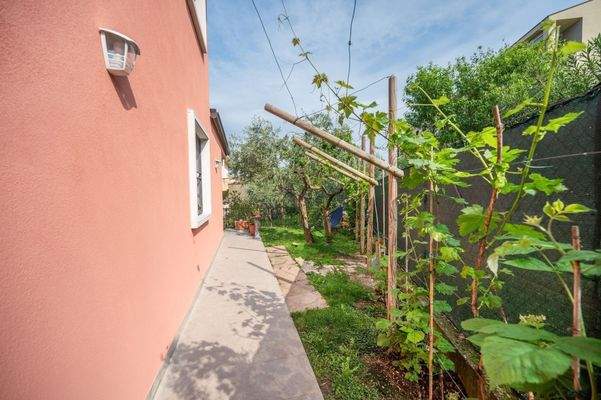 Tecnocasa Bardolino 0052.JPG