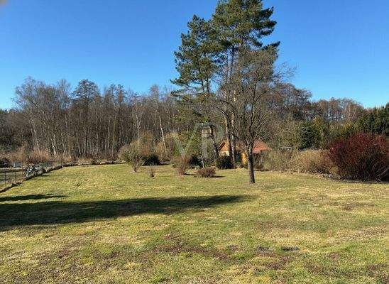 Winter- / Frühjahrsimpression