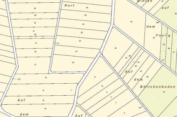Auszug Flurkarte