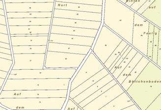 Auszug Flurkarte