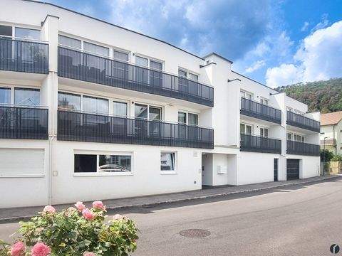 Winzendorf Wohnungen, Winzendorf Wohnung kaufen