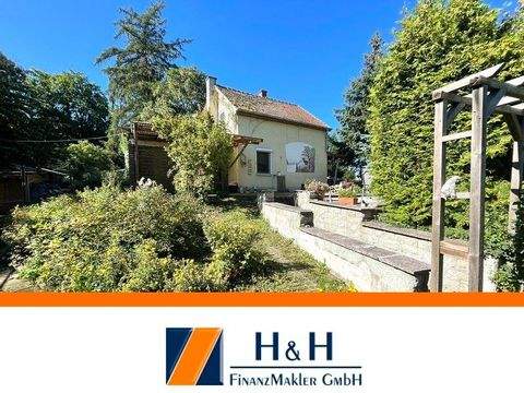 Gotha Häuser, Gotha Haus kaufen