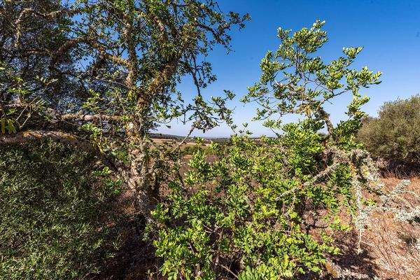 Grundstück mit Baungenehmigung