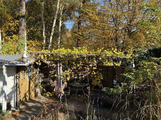 Die Terrasse am Teich