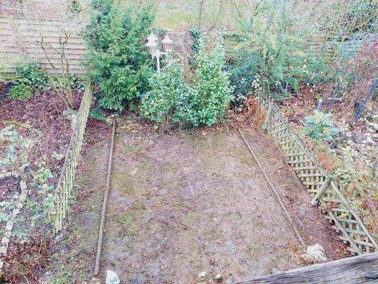 Blick in den Garten