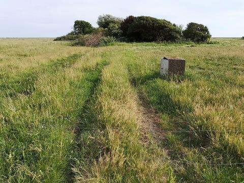 Sylt OT Archsum Grundstücke, Sylt OT Archsum Grundstück kaufen