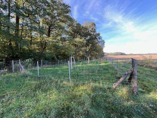 Natur pur... bis auf den Zaun