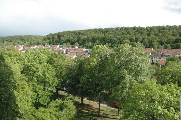 Aussicht nach Süden