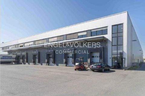 Berlin Halle, Berlin Hallenfläche