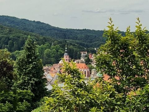 Baden-Baden Wohnungen, Baden-Baden Wohnung kaufen