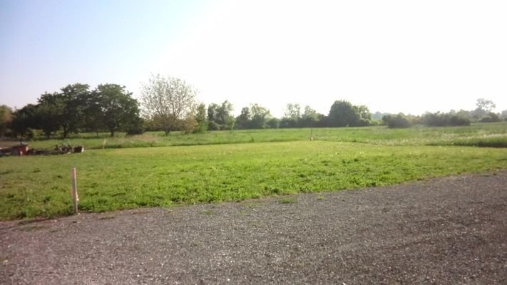 DSC03524