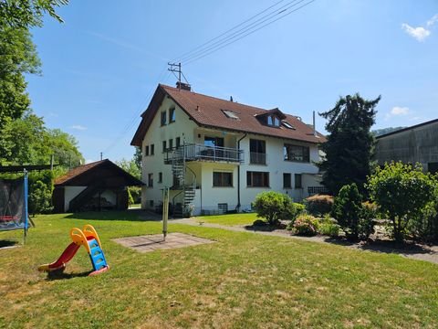 Geislingen an der Steige Halle, Geislingen an der Steige Hallenfläche