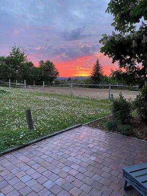 Pferdekoppel/ Sandplatz