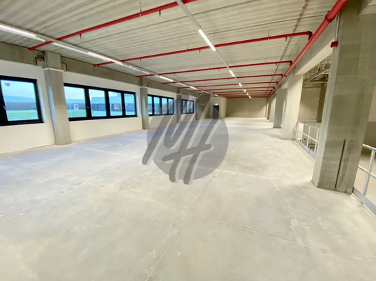 INFOS UNTER: 06171-586000