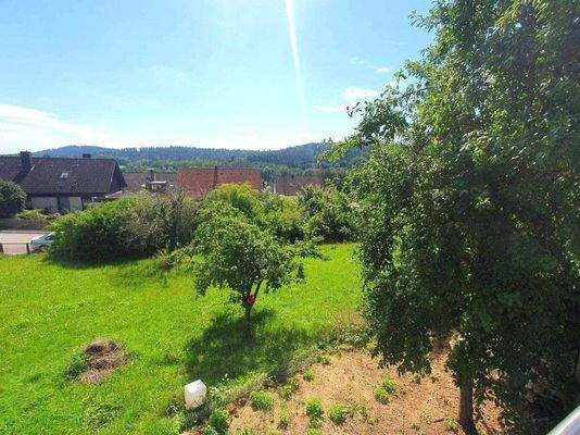 Blick vom Balkon.jpg