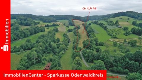 Oberzent Bauernhöfe, Landwirtschaft, Oberzent Forstwirtschaft