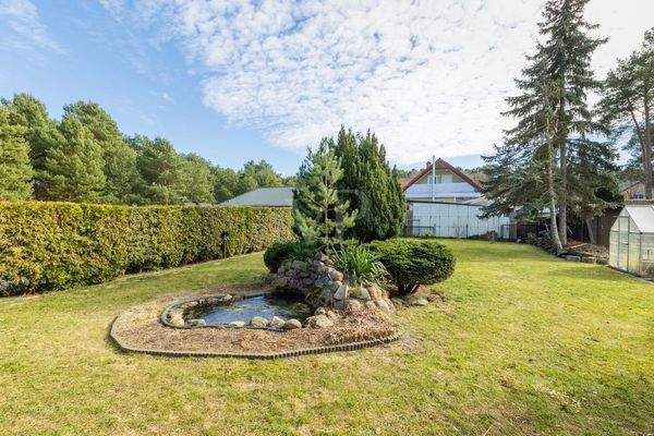 Blick auf den Gartenteich