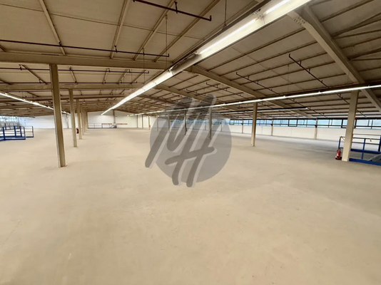 INFOS UNTER: 06171-586000