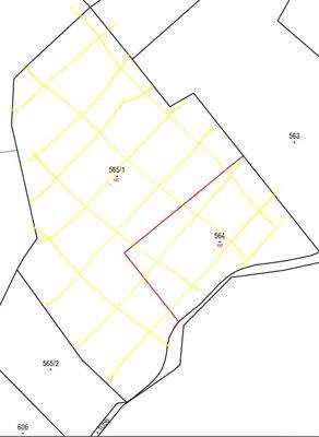 WhatsApp Image 2026-03-03 at 13.01.42.jpeg