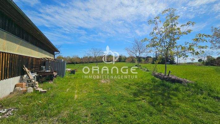 Hallenseite und Walnussbäume