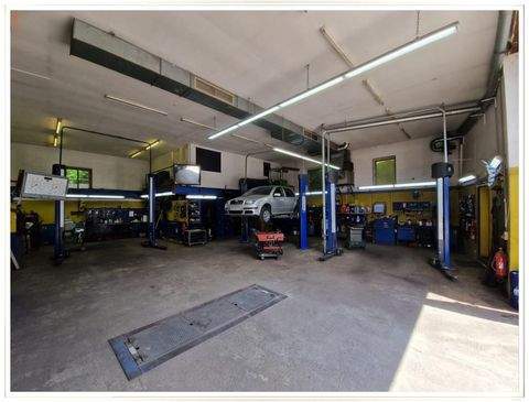 Fahrenzhausen Halle, Fahrenzhausen Hallenfläche