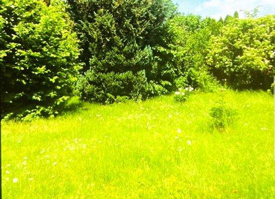 Bild_Wettesingen 14.jpeg