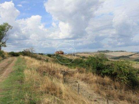 Asciano Häuser, Asciano Haus kaufen