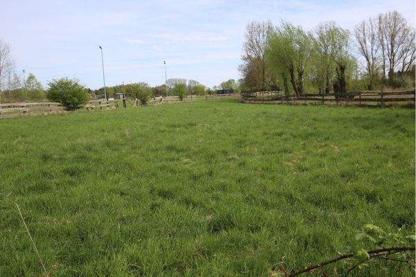 Dieses Grundstück kann zusätzlich bei Bedarf zum angebotenen Grundstück erworben werden