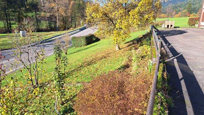 Gemüsegarten vor dem Haus