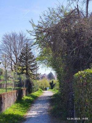 Bergwegle auf der einen ...