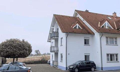 Ingelheim am Rhein Wohnungen, Ingelheim am Rhein Wohnung mieten