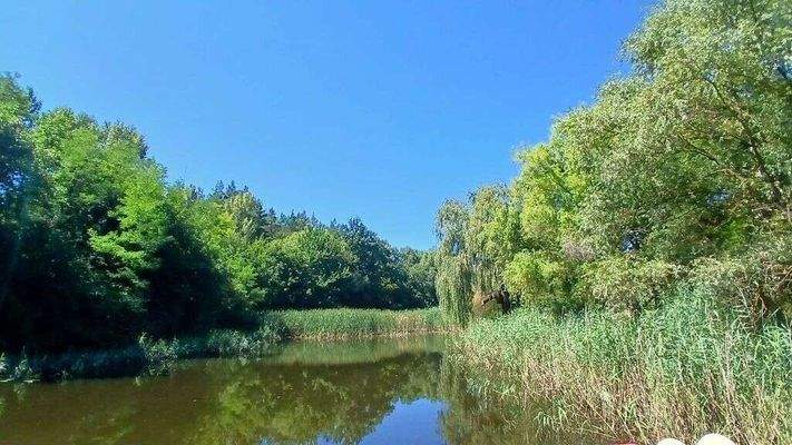 0-02-05-5dfcecb63b255976f04ad38a22902374b448383816