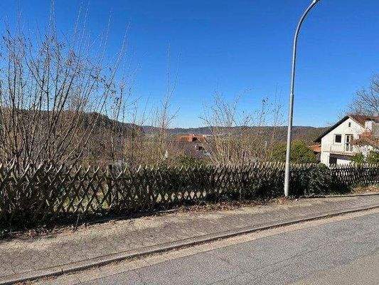 Blick von der Strassenseite 