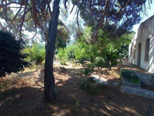 Kreta, Neapoli: Großes Steinhaus mit unvollendetem Gästehaus, Olivenhain und Garten zu verkaufen